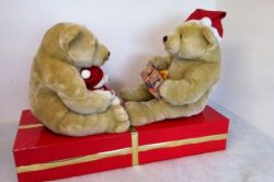 2 ours sur un paquet cadeau