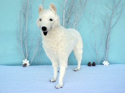 Loup blanc automate LOU2