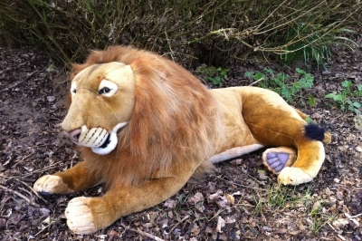 Lion automate couche