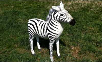 Zebre automate