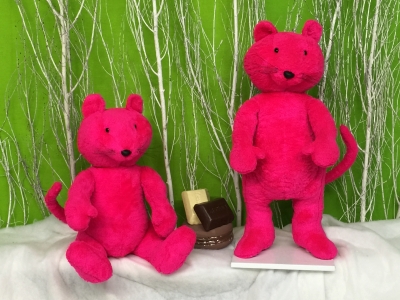 Chat fuchsia debout et assis